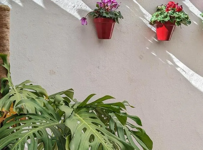 Harbor Getaway In The Heart Of Puerto Banus With Walking Dictance To Everything アパート マルベーリャ