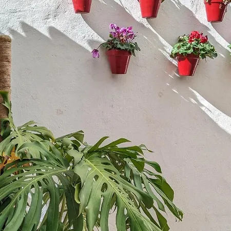 Harbor Getaway In The Heart Of Puerto Banus With Walking Dictance To Everything Apartament Marbella