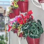 Διαμέρισμα Harbor Getaway In The Heart Of Puerto Banus With Walking Dictance To Everything